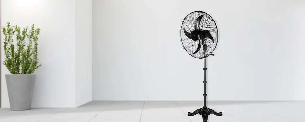 Best Stand Fans