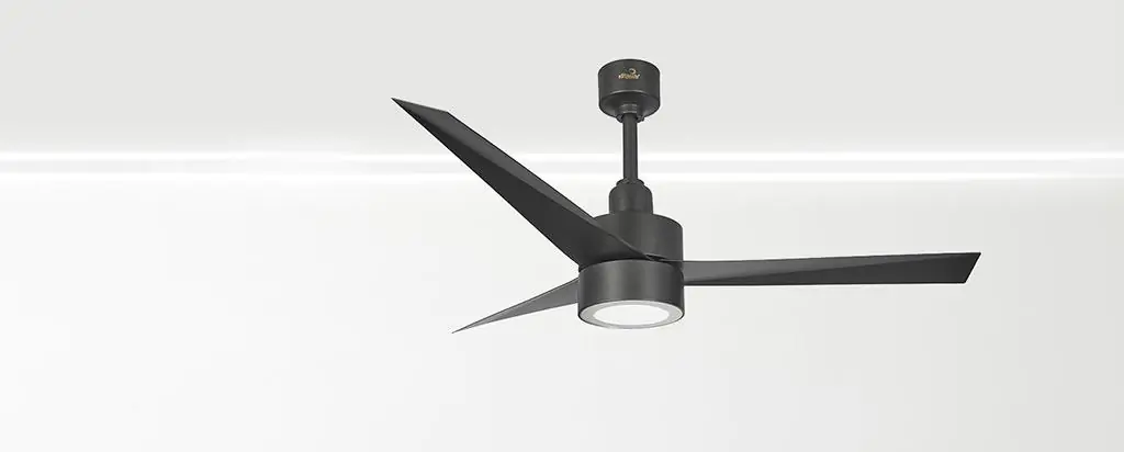 Ceiling Fan With Light