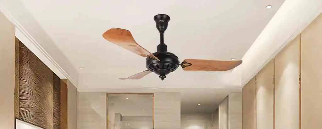 Best Fan Companies in India