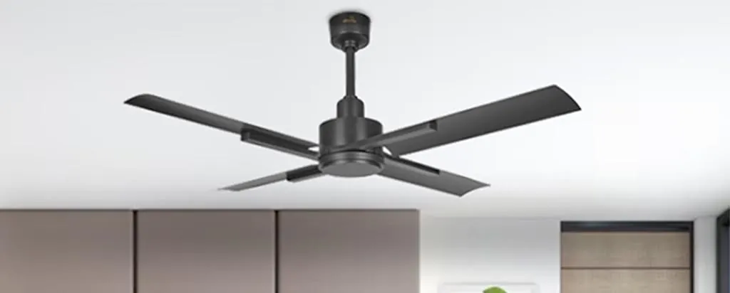 Luxury Ceiling Fans