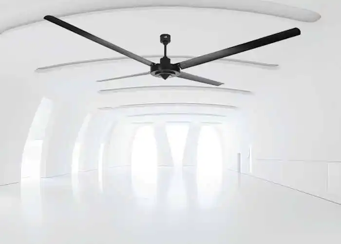 Jazz Ceiling fan