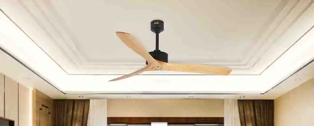 Propellor Ceiling Fans