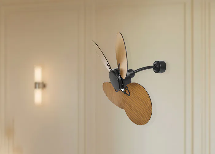 Bacca Wall fan