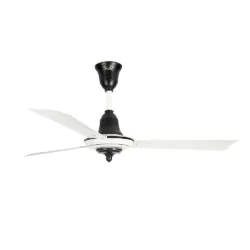 Relic Ceiling fan