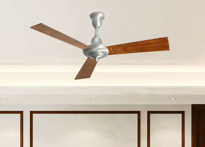 Revival Ceiling fan