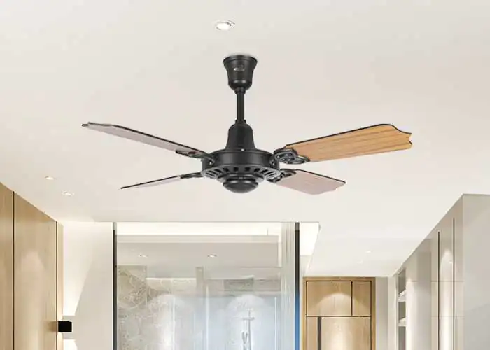 Regallia Ceiling fan