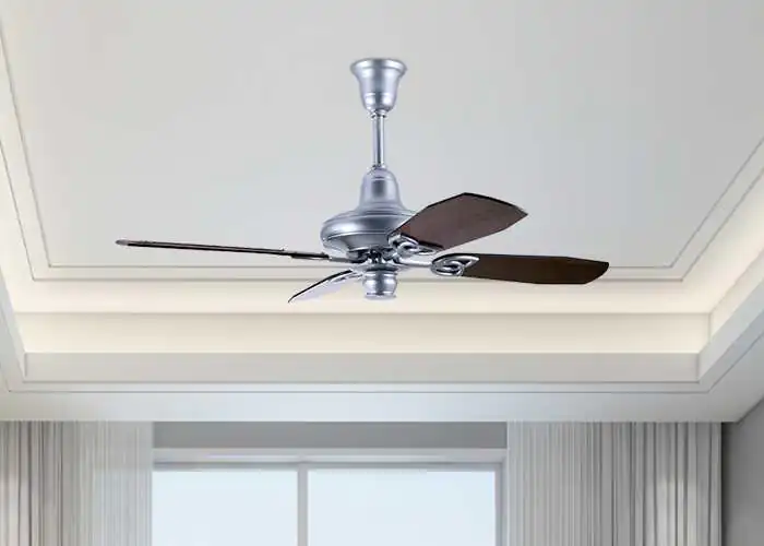 Aster Ceiling fan