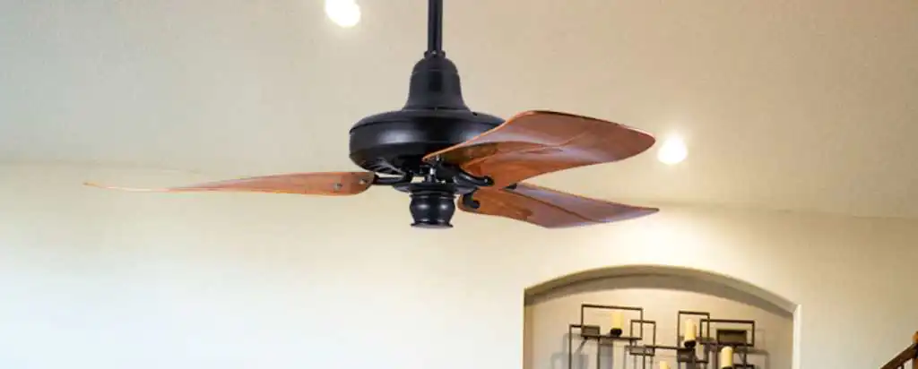 here-s-why-a-customised-ceiling-fan-can-rejuvenate-any-living-space