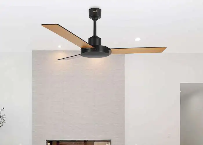 Alpha Ceiling fan