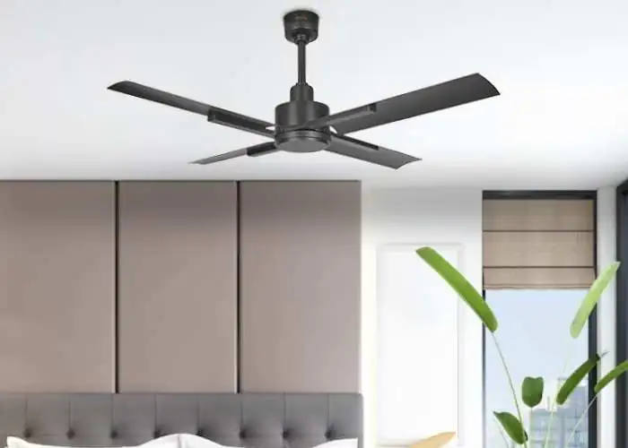 Lantana Ceiling fan