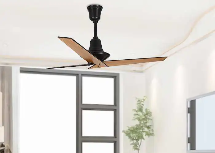 Florence Ceiling fan