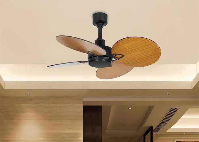 Bacca Ceiling fan