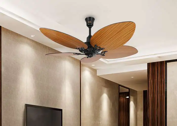 Belleza Ceiling fan