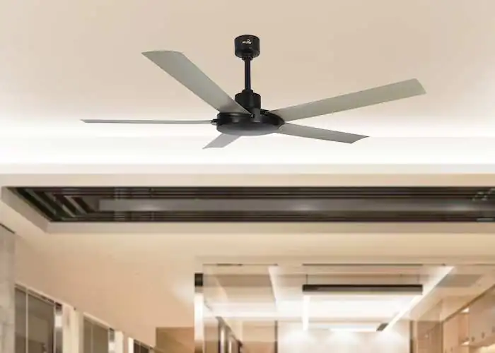 Helios 6 Blade Ceiling fan