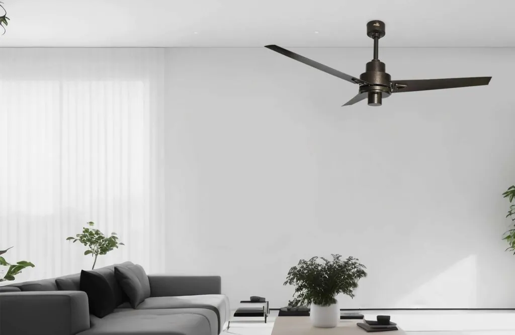 Bold Ceiling fan