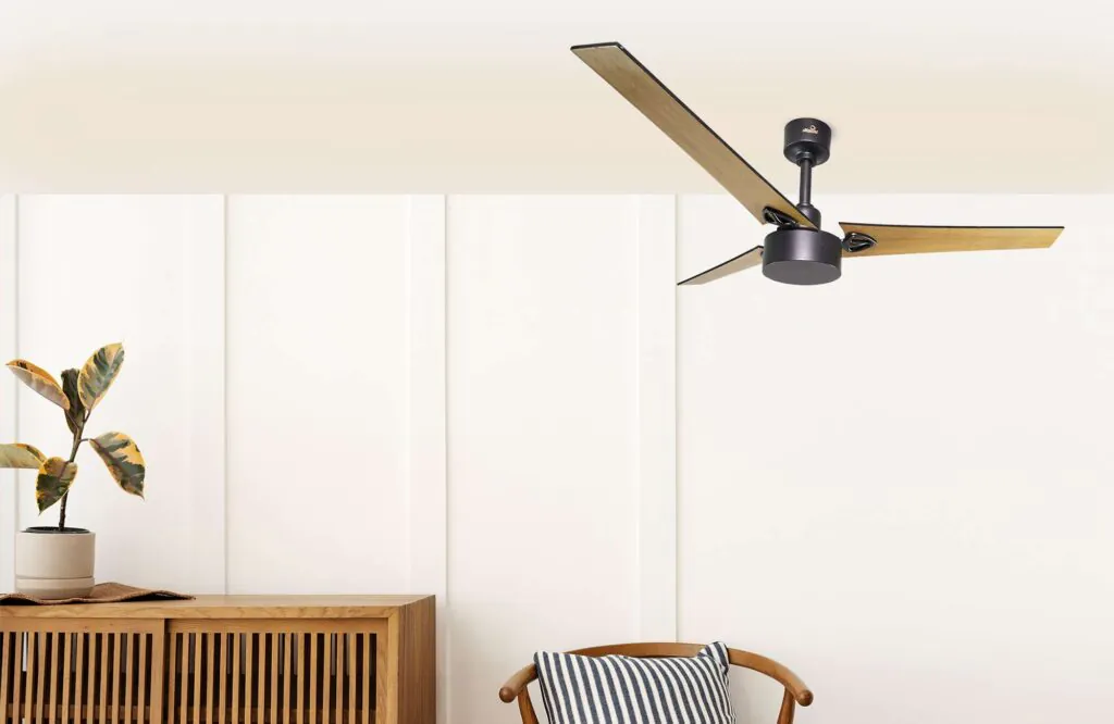 Antonious Ceiling fan