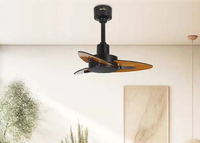 Tahiti Ceiling fan