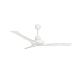 Amaze Ceiling fan