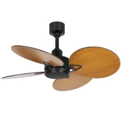 Bacca Ceiling fan