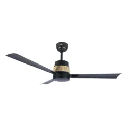 Desire Cane Ceiling fan