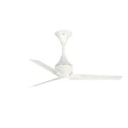 Owo Ceiling fan