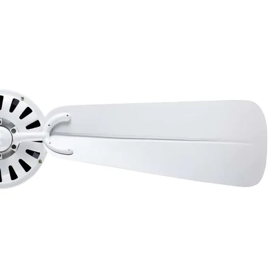 Sovereign Ceiling fan
