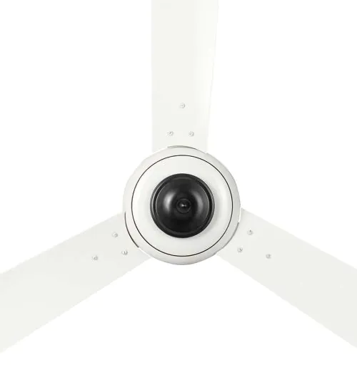 Relic Ceiling fan
