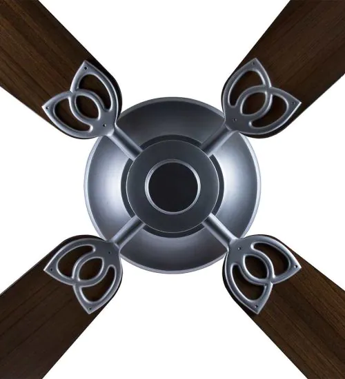 Aster Ceiling fan