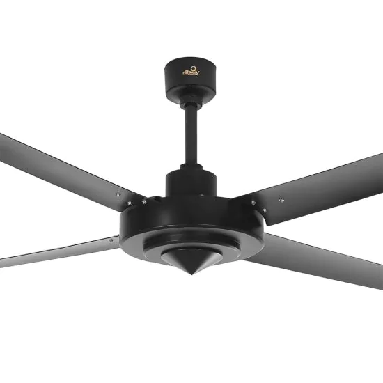 hvls jazz fan