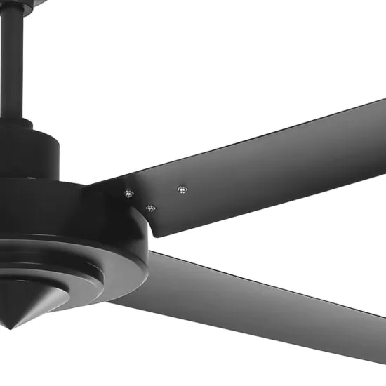 hvls jazz fan