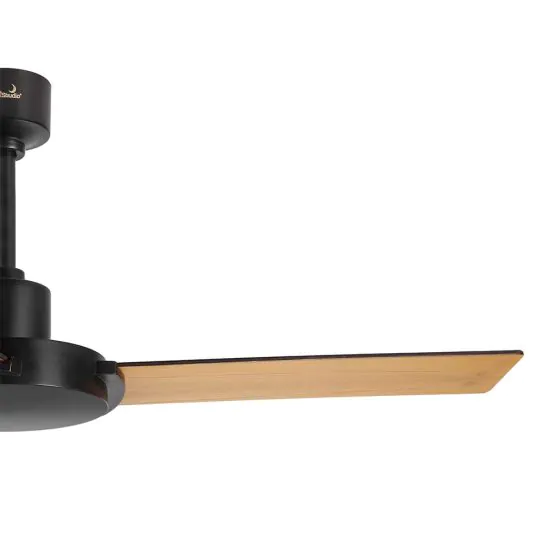 Alpha Ceiling fan