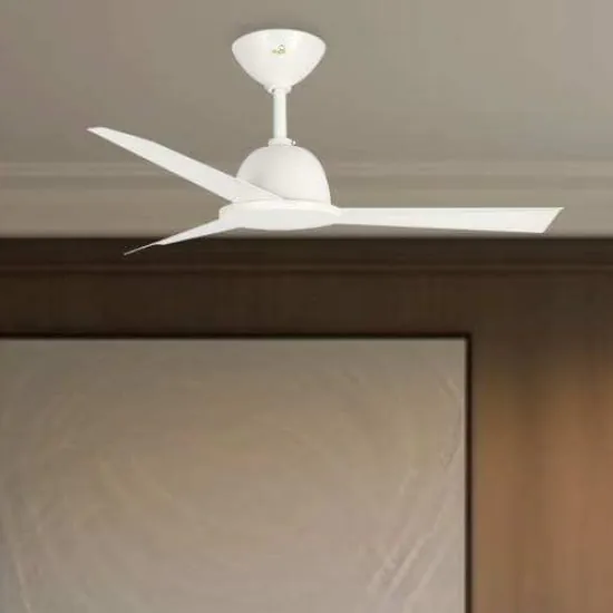 Lantana Ceiling fan