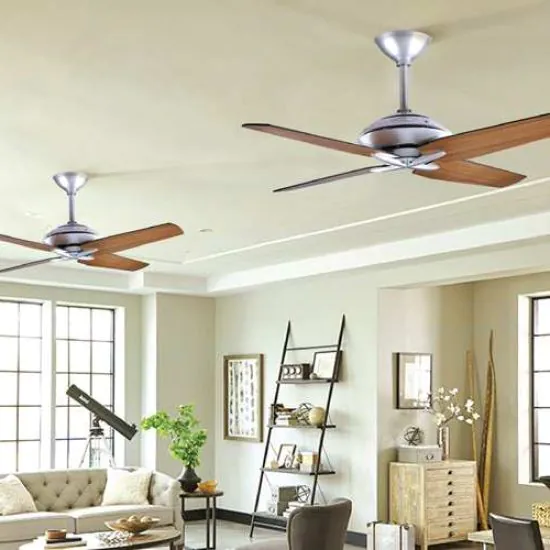 Gladiator Ceiling fan