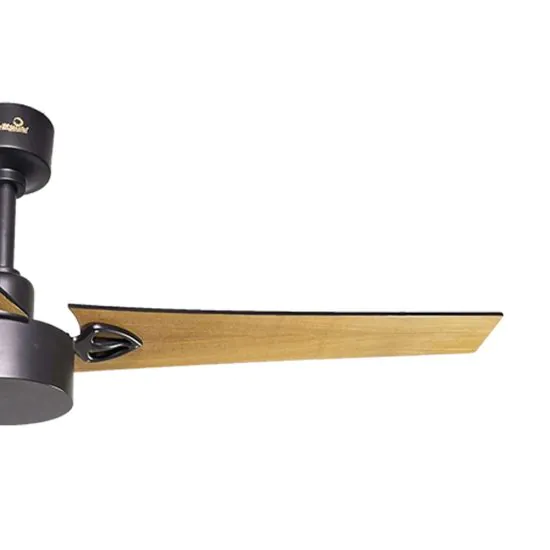 Antonious Ceiling fan