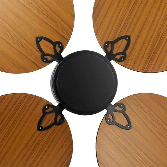 Bacca Ceiling fan