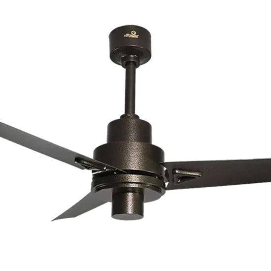 Bold Ceiling fan