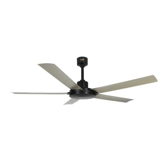 Helios 6 Blade Ceiling fan