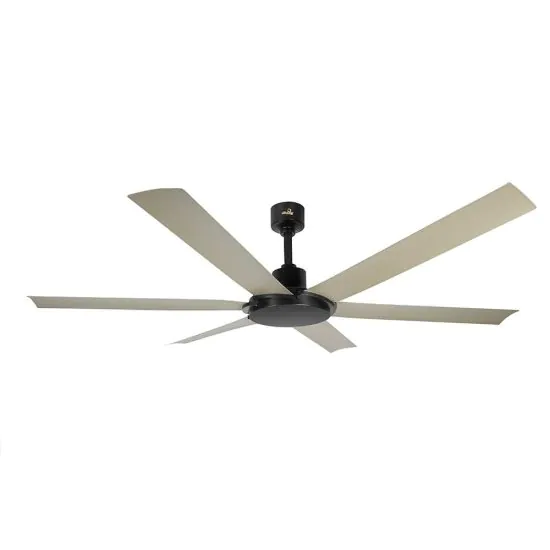 Helios 6 Blade Ceiling fan