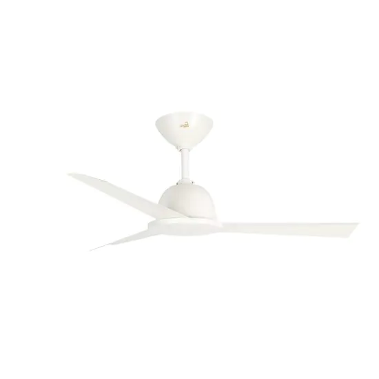 Lantana Ceiling fan